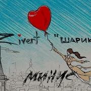 Шарик Зиверт Минус