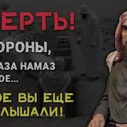 Вопросы О Смерти И Похоронном Процессе
