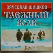 Вячеслав Шишков Таёжный Волк 1973