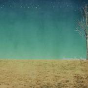 M I K E Elements Of Nature