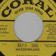 Dave Apollon Meadowland