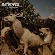 The Scale Interpol