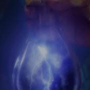 Lightning In A Bottle Sapien Mediciner