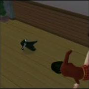 Cat Breakdancing But The Girl Breakdances Too