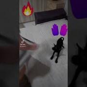 Собачка Танцует Макарена