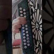 Минусовка Песни Как Родная Меня Мать Провожала Гармошка