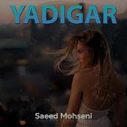 Yadigar Saeed Mohseni