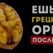Вот Почему Нужно Есть Грецкий Орех После 50 Лет Он Творит Чудеса