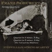 Fitzwilliam String Quartet String Quartet In D Minor D 810 I Allegro