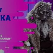 Волк Отпустите Меня