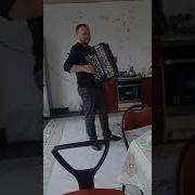 Цыган Играет На Гармошке