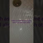 Scalar Wave