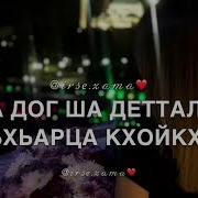 Тамирлан Исаков Хьан Аз Дай Хезаш
