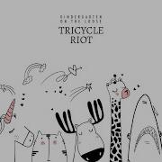 Tricycle Riot Sleepless Moonlight