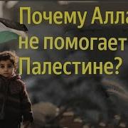 Помогает Аллах