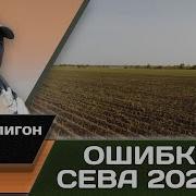 Сева 2020