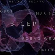 Melodic Techno Volume 13