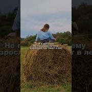 Почему Так Тянет Не Понимаю