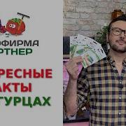 Правда Об Огурцах