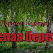 Белая Береза Курнуц