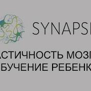 Синапс Эксперт