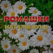 Наталя Бунь Ромашки Білі