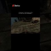 Фразы Нпс Сталкер
