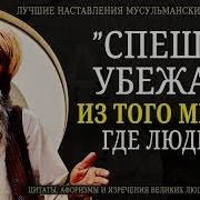 Лучшие Наставления Мусульманских Мудрецов