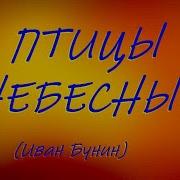 Иван Бунин Птицы Небесные