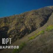 Песня Увайса Шарипова Хьоме Юрт