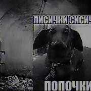 Уни Покажи Фотку Где Девочки Показывают Письку