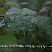 Как Стать Родителем Самому Себе Грэхем