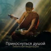 Надежда Sleep Is