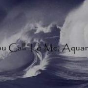 Within Temptation Aquarius