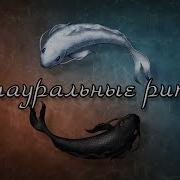 Музыка Для Запоминания Информации