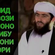 Мучибу Рахмони Ансори Нашид