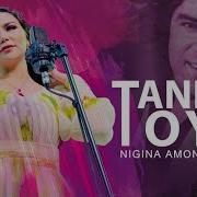 Nigina Amonqulova Tanha Toye Official Audio