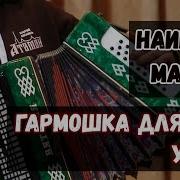 Матаня На Гармони