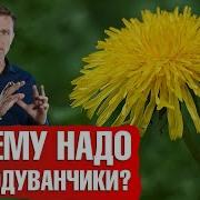 Каждый Год Весенним Майски Днём