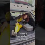 Хюндай Прикол