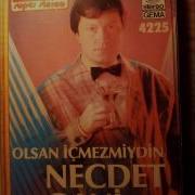 Necdet Gani