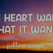 Selena Gomez The Heart Wants What It Wants Lyrics