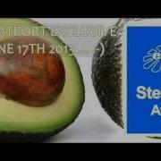 Avocado Steve Brian