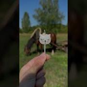 Мама Почему Ты Плачешь Аляска