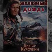 Курочкин Железный Дождь Книга 2