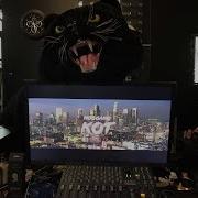 Ноггано Кот Который Тебя Унизит