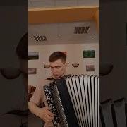 L I L I U M Button Accordion Cover