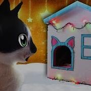 Кошачья Школа Волшебный Подарок