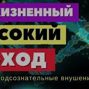 Пожизненный Высокий Достаток И Доход