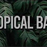 Tropicsl Bass